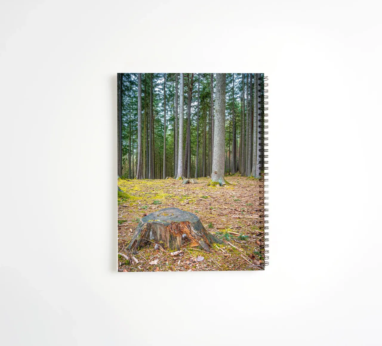 Tree stump in a dense coniferous forest spiral notebook by Marcus Beckert | Fotografie