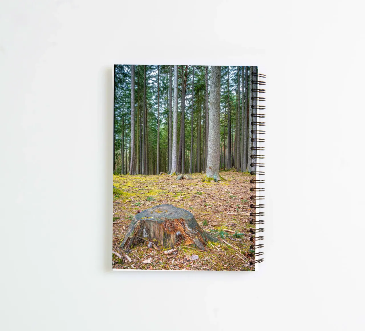 Tree stump in a dense coniferous forest spiral notebook by Marcus Beckert | Fotografie