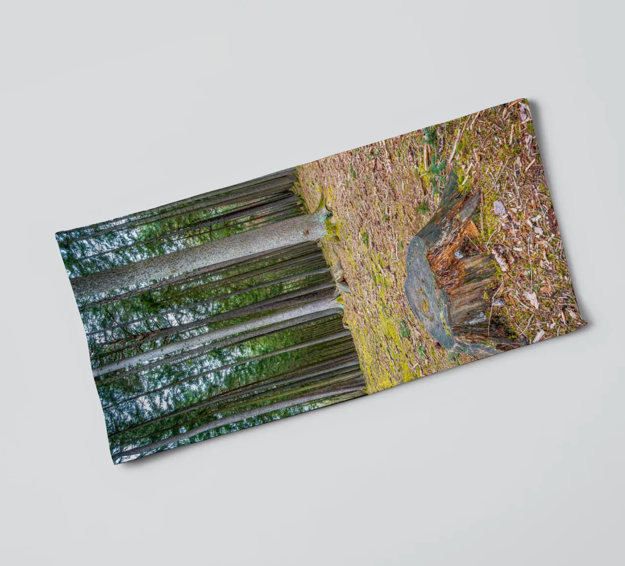 Tree stump in a dense coniferous forest towel by Marcus Beckert | Fotografie