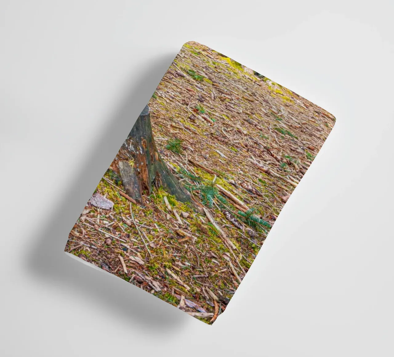 Tree stump in a dense coniferous forest towel by Marcus Beckert | Fotografie
