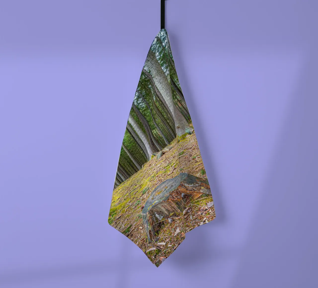 Ceppo di albero in una fitta foresta di conifere canovaccio da cucina da Marcus Beckert | Fotografie