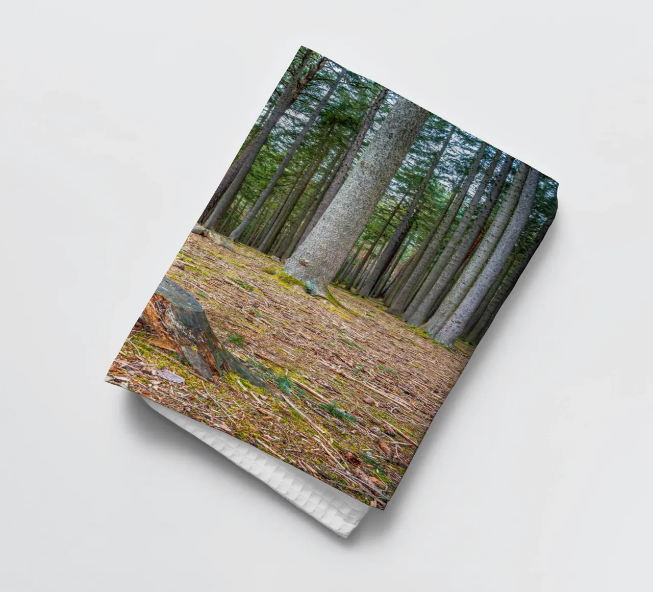 Ceppo di albero in una fitta foresta di conifere canovaccio da cucina da Marcus Beckert | Fotografie