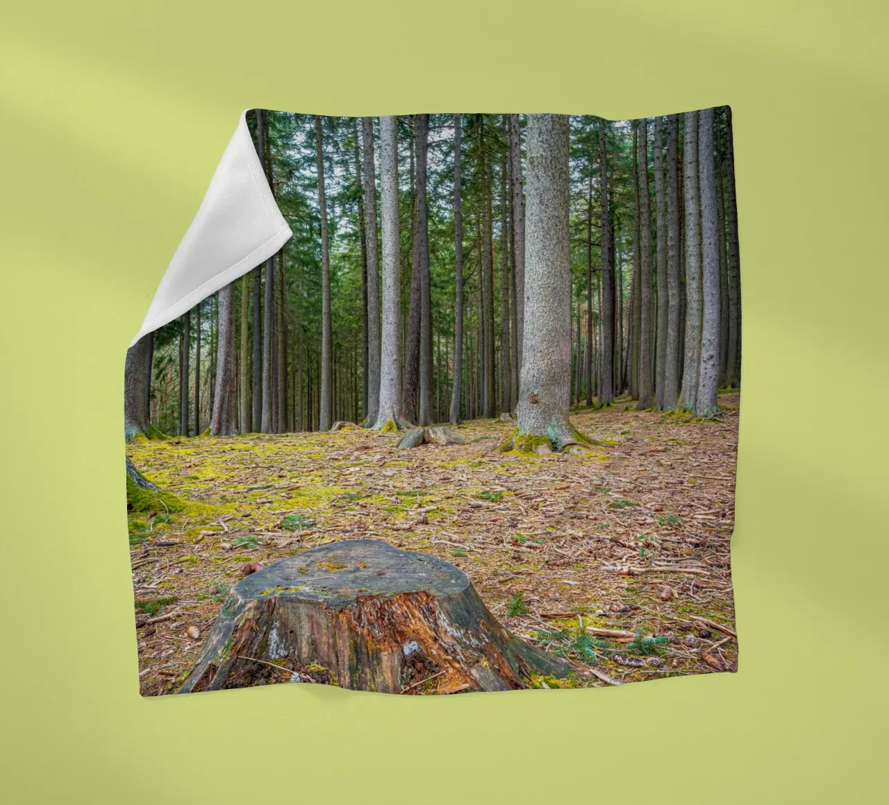 Ceppo di albero in una fitta foresta di conifere coperta in pile da Marcus Beckert | Fotografie
