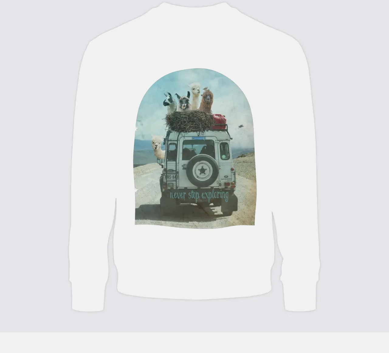 Never Stop Exploring II - Funny Alpacas on Tour felpa da Monika Strigel