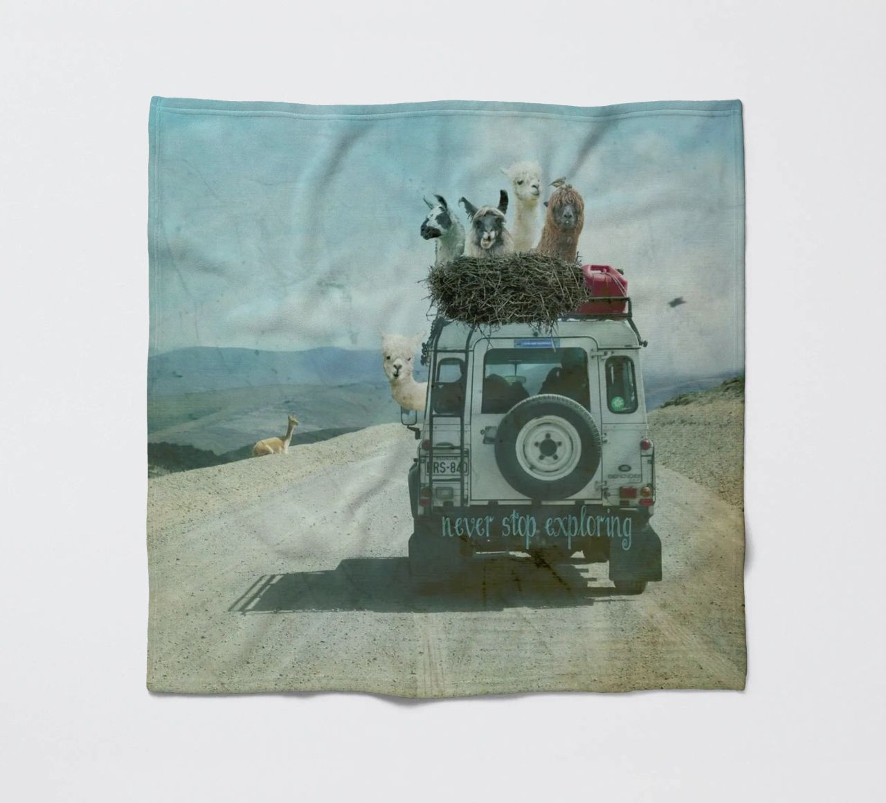 Never Stop Exploring II  - Funny Alpacas on Tour coperta in pile da Monika Strigel