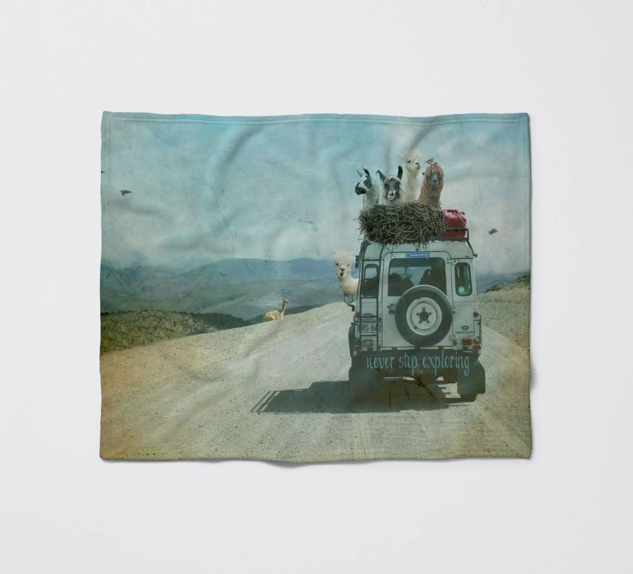 Never Stop Exploring II  - Funny Alpacas on Tour coperta in pile da Monika Strigel