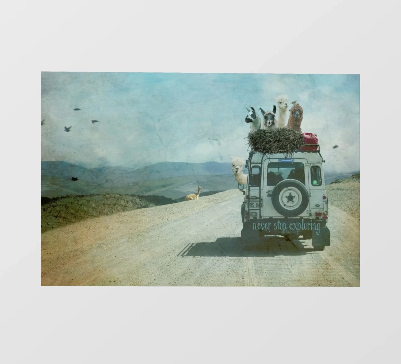 Never Stop Exploring II  - Funny Alpacas on Tour pellicola backlit da Monika Strigel