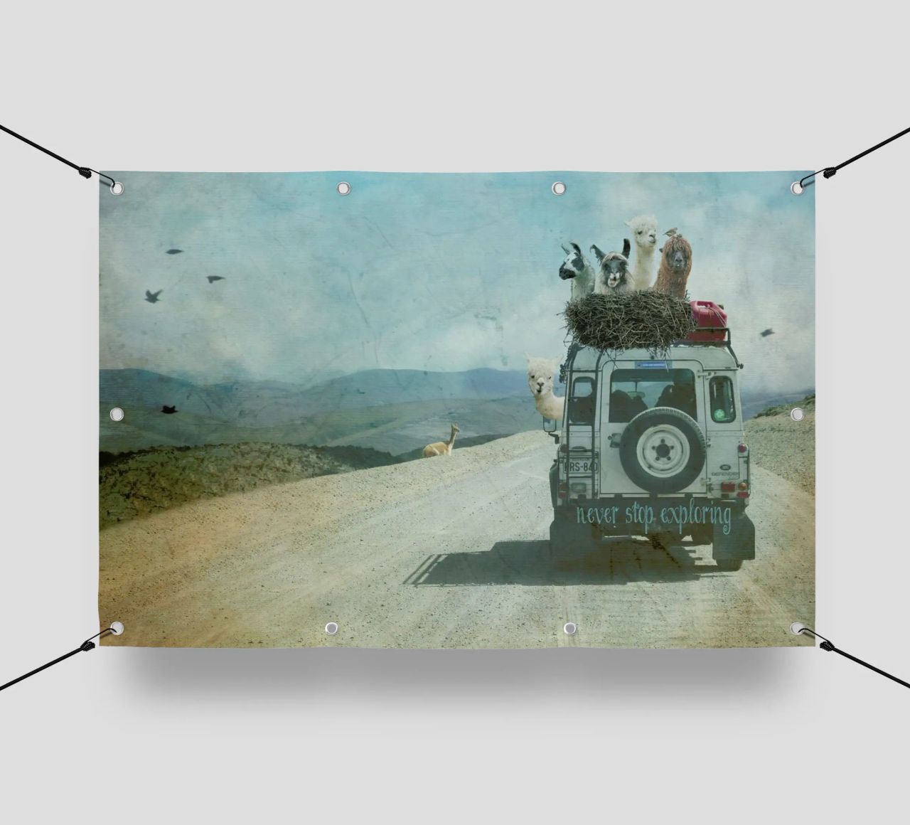 Never Stop Exploring II  - Funny Alpacas on Tour telo in pvc da Monika Strigel