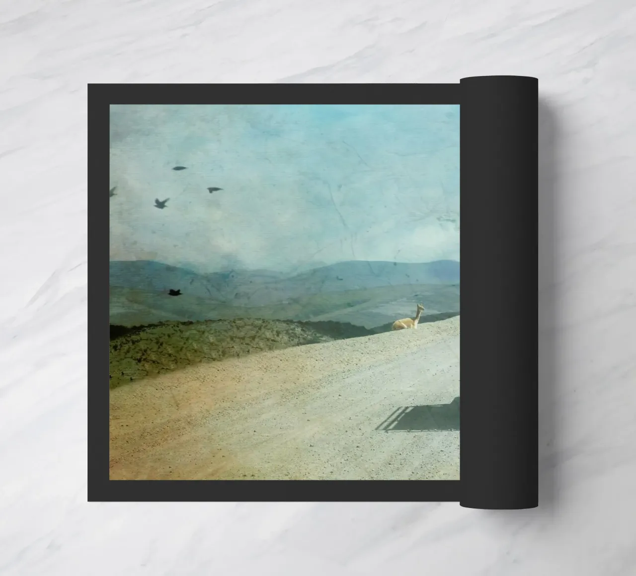 Never Stop Exploring II - Funny Alpacas on Tour zerbino da Monika Strigel