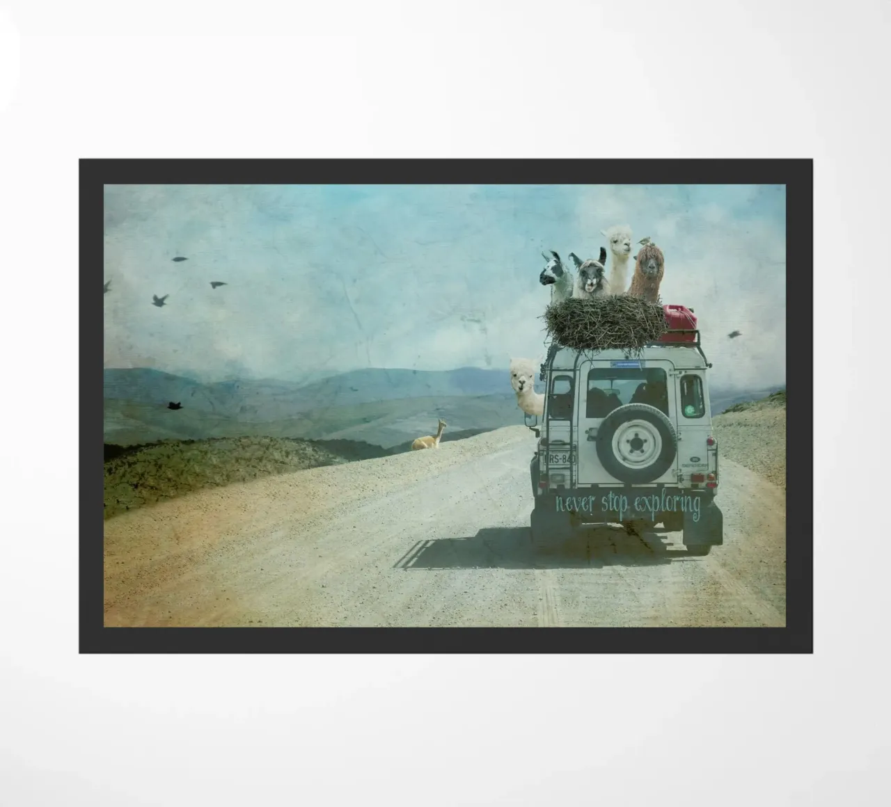 Never Stop Exploring II - Funny Alpacas on Tour zerbino da Monika Strigel