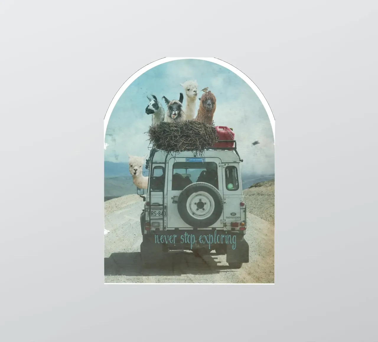Never Stop Exploring II  - Funny Alpacas on Tour adesivo da Monika Strigel