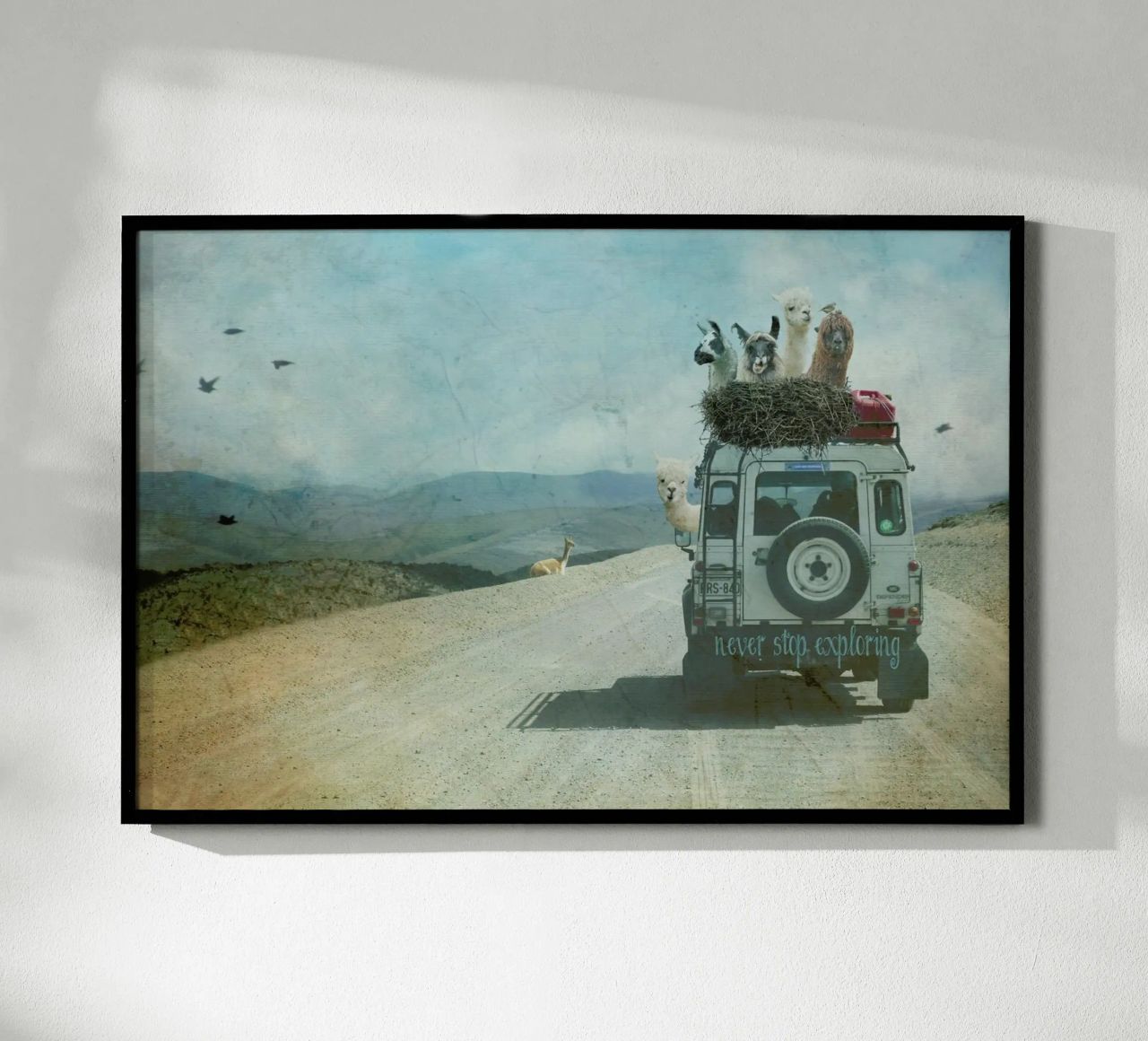 Never Stop Exploring II  - Funny Alpacas on Tour poster de Monika Strigel