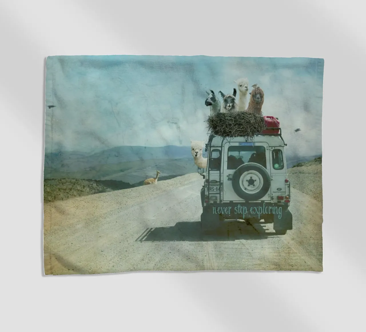 Never Stop Exploring II  - Funny Alpacas on Tour toalla de playa de Monika Strigel
