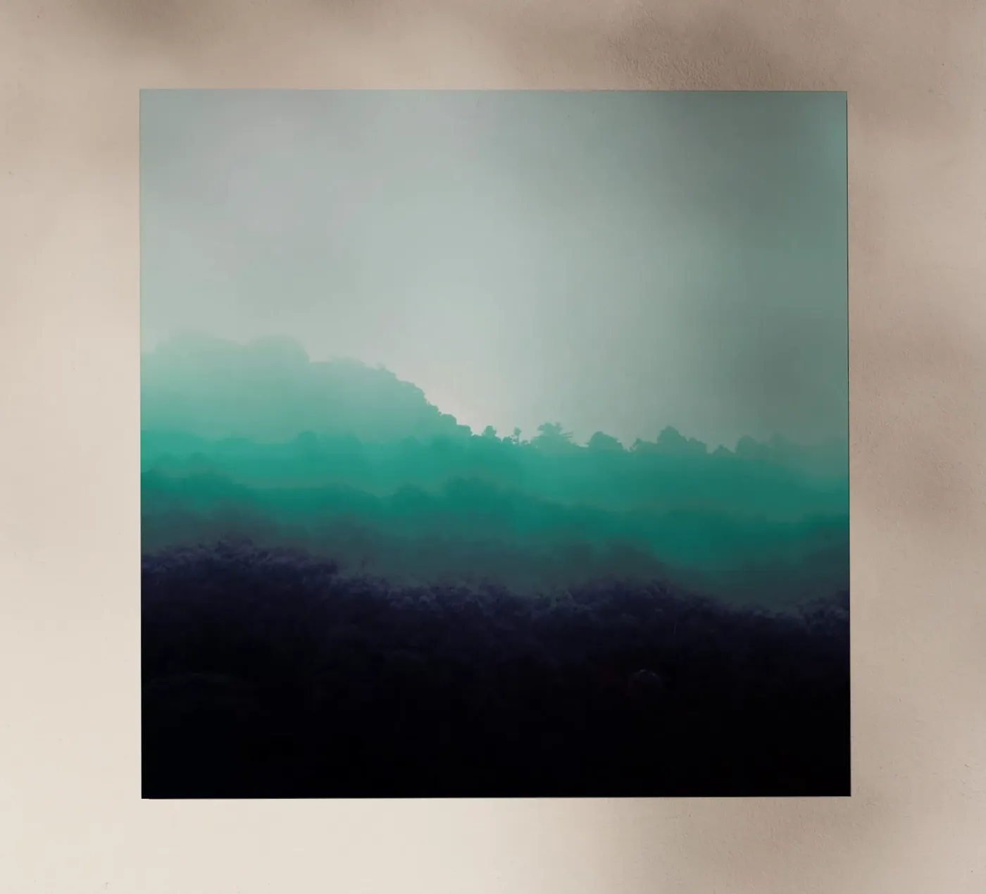 Forest Bathing pellicola backlit da Ruei