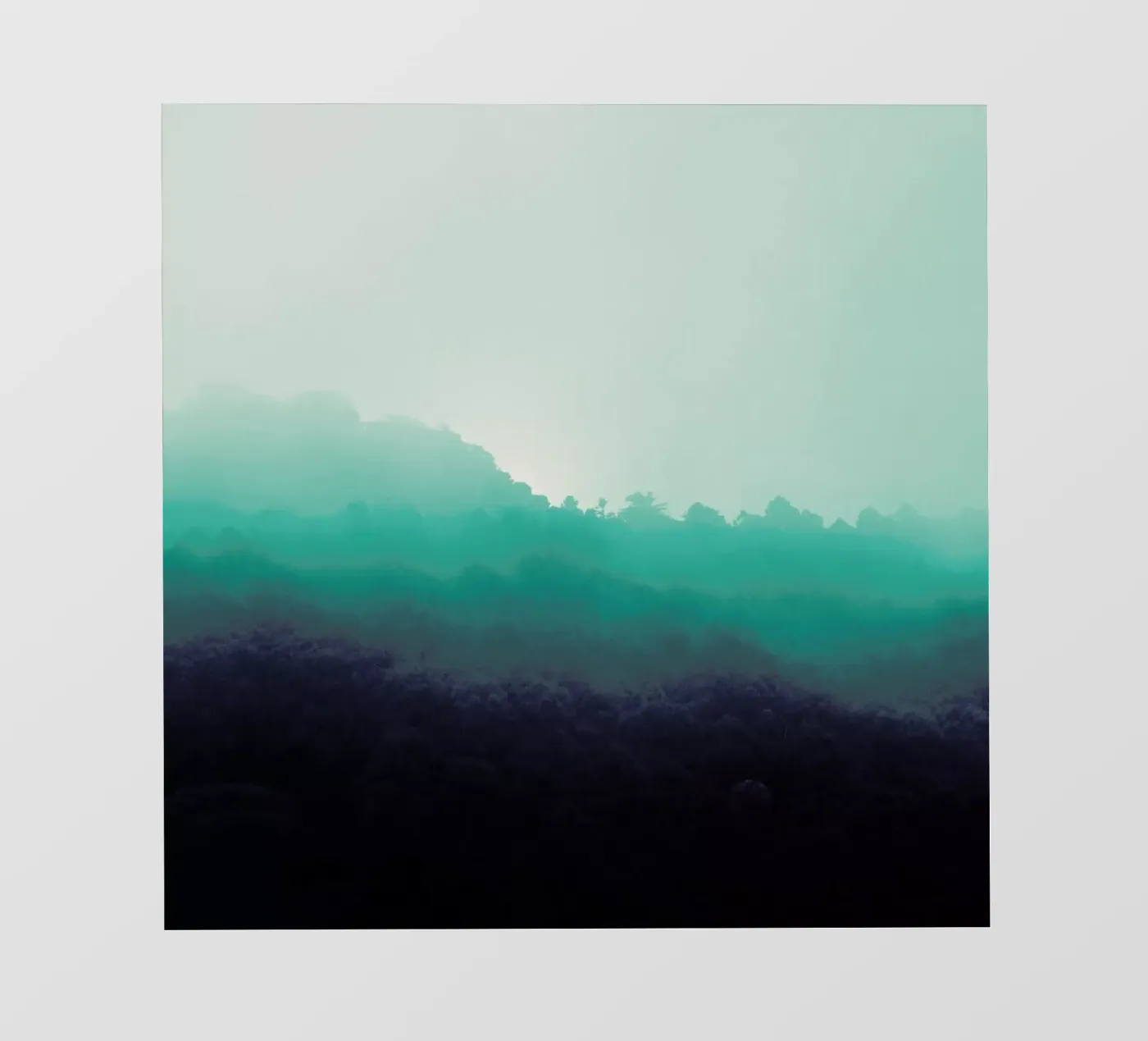 Forest Bathing pellicola backlit da Ruei