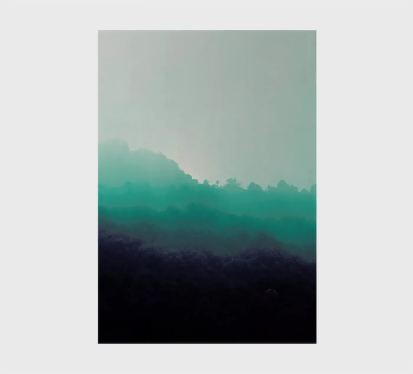 Forest Bathing notebook by Ruei