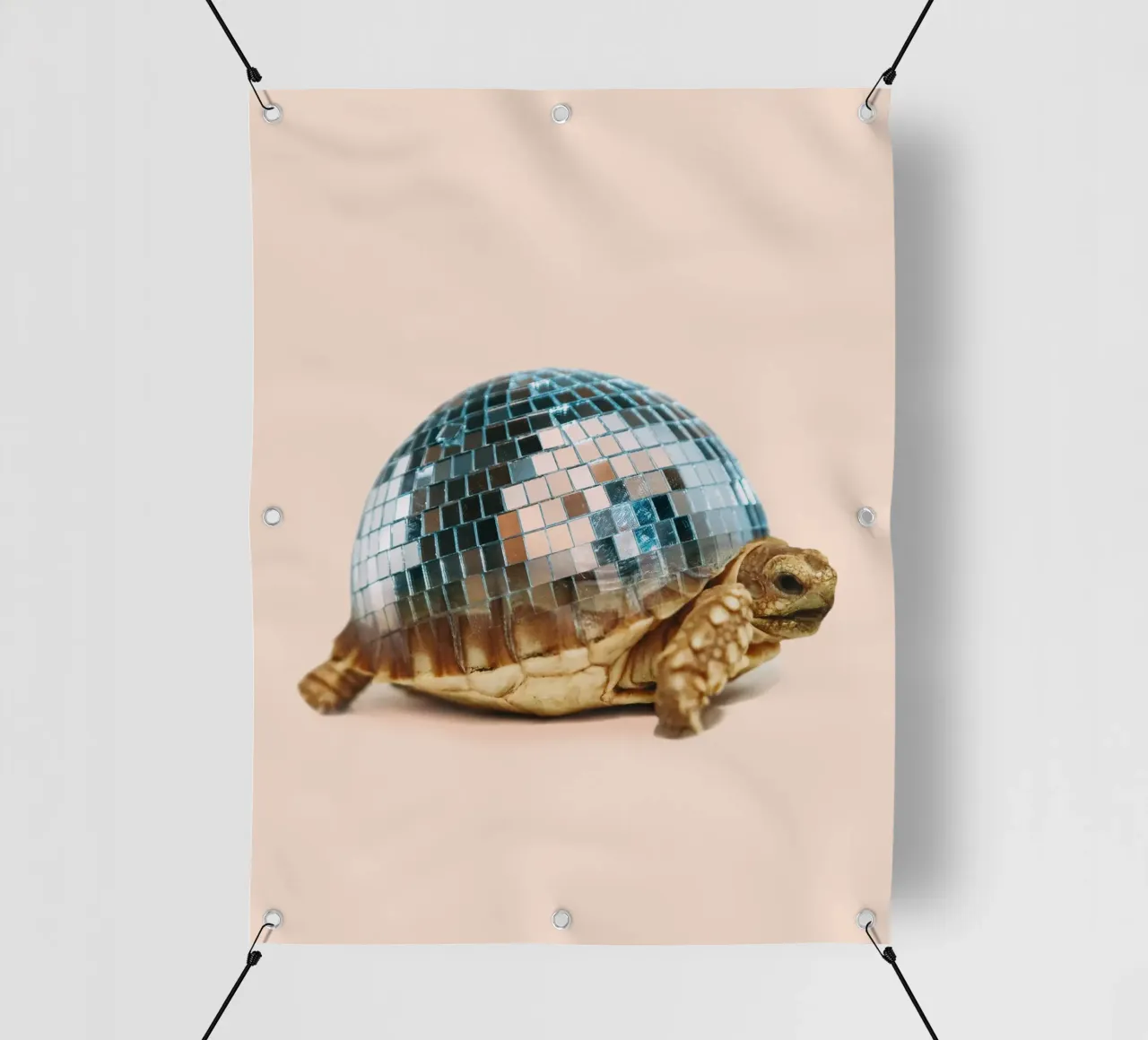 DISCO TURTLE telo in pvc da Dagmar Pels