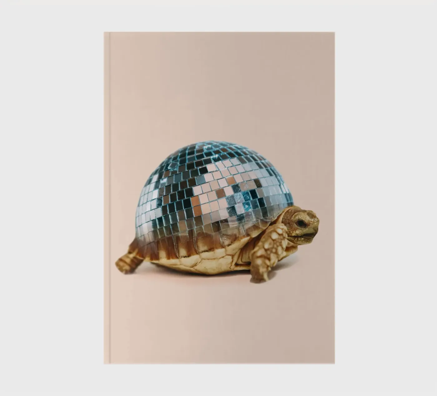 TURTLE DISC notebook by Dagmar Pels