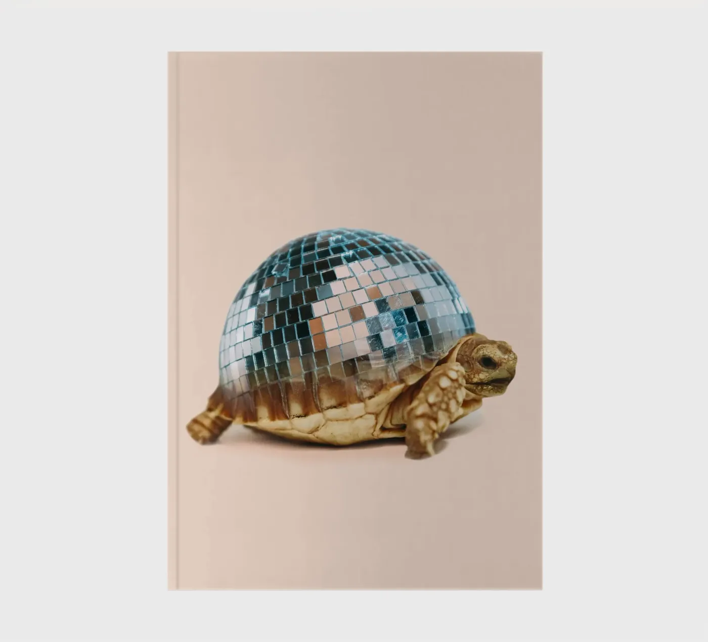 TURTLE DISC notebook by Dagmar Pels