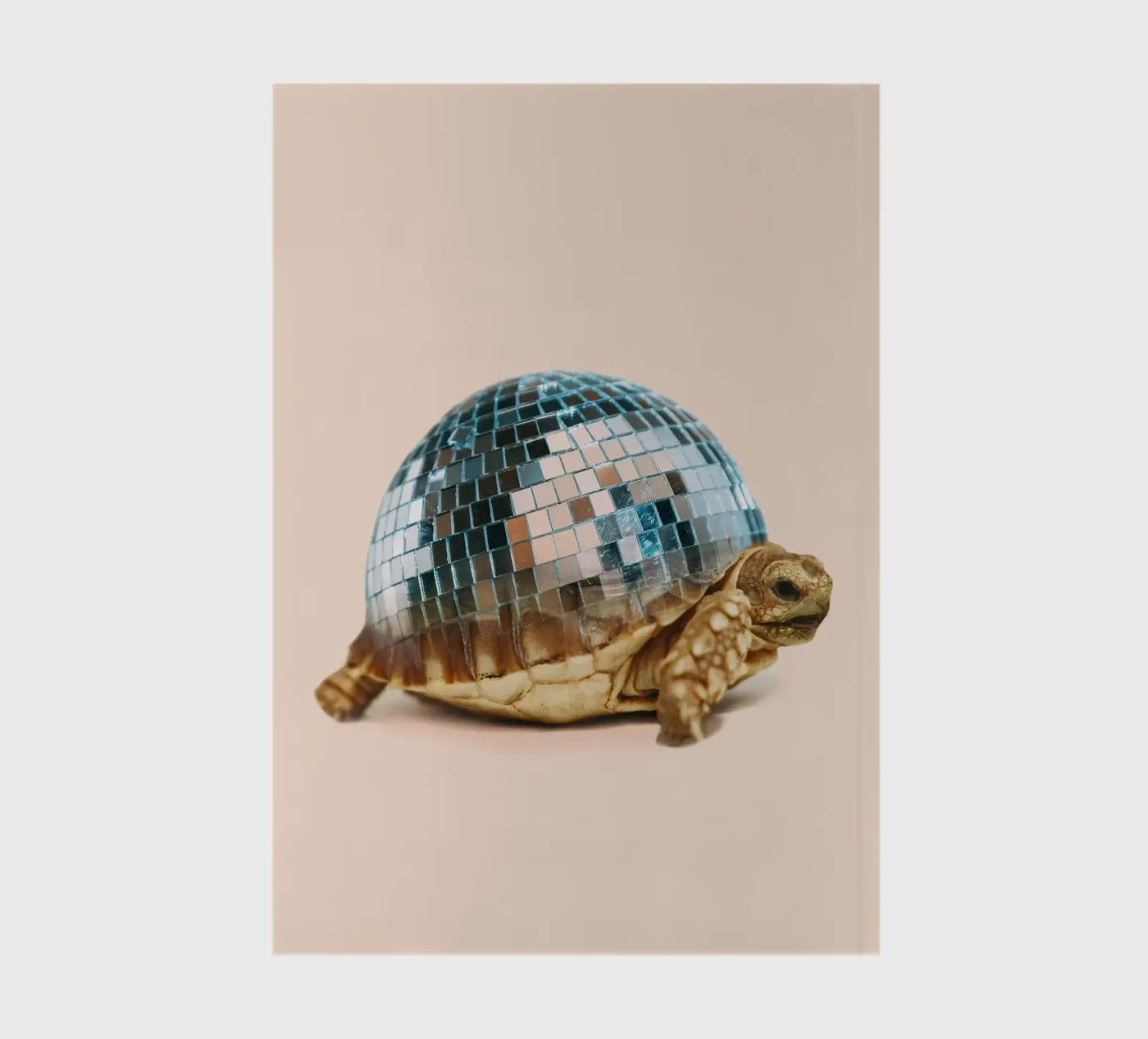 TURTLE DISC notebook by Dagmar Pels
