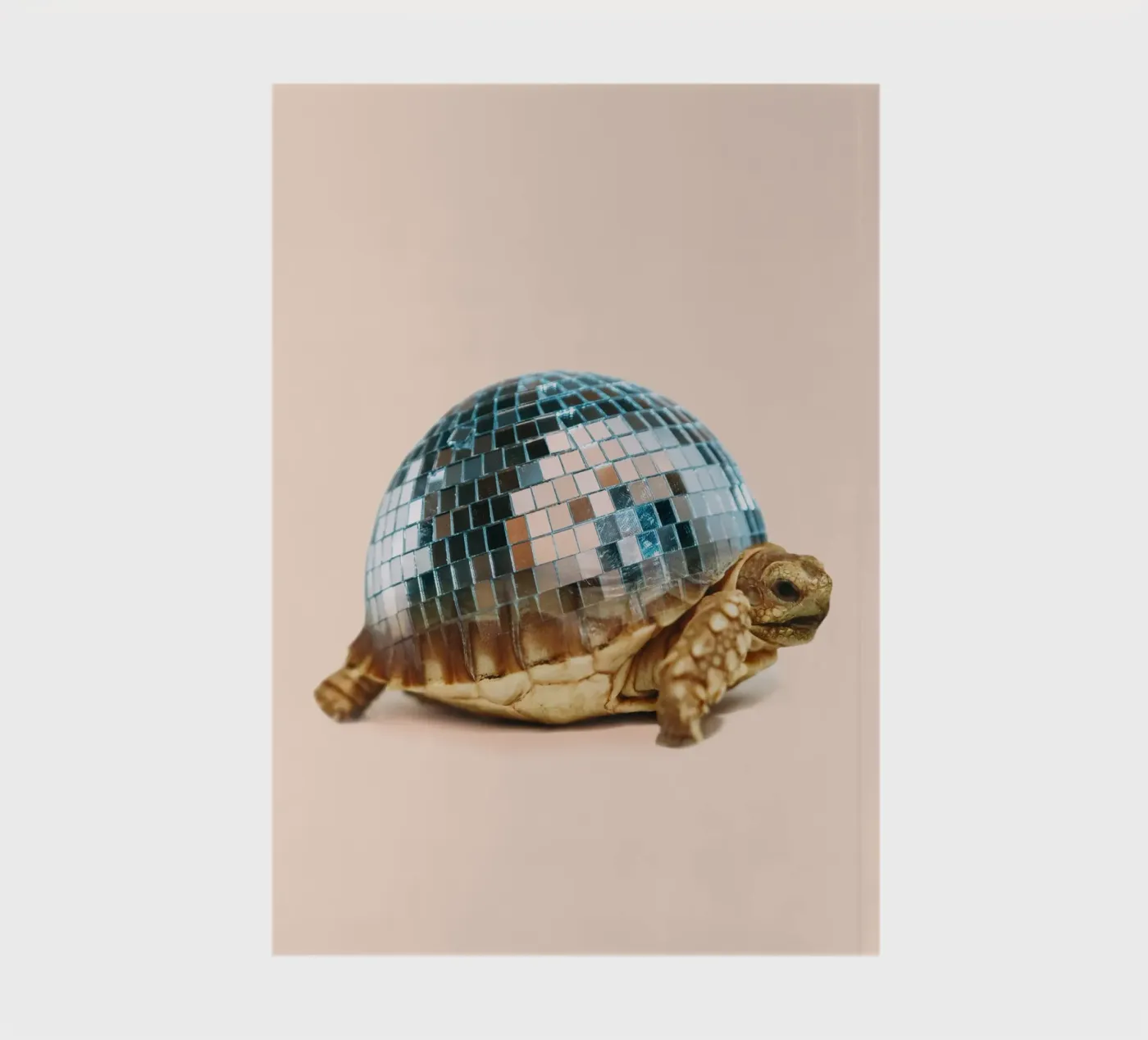 TURTLE DISC notebook by Dagmar Pels