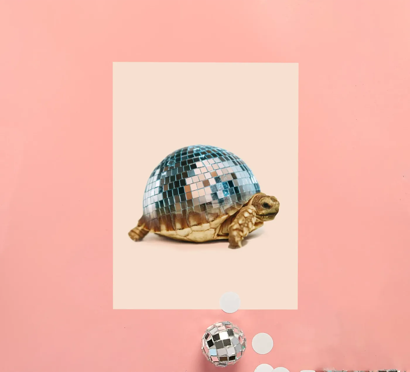 TURTLE DISC sticker by Dagmar Pels