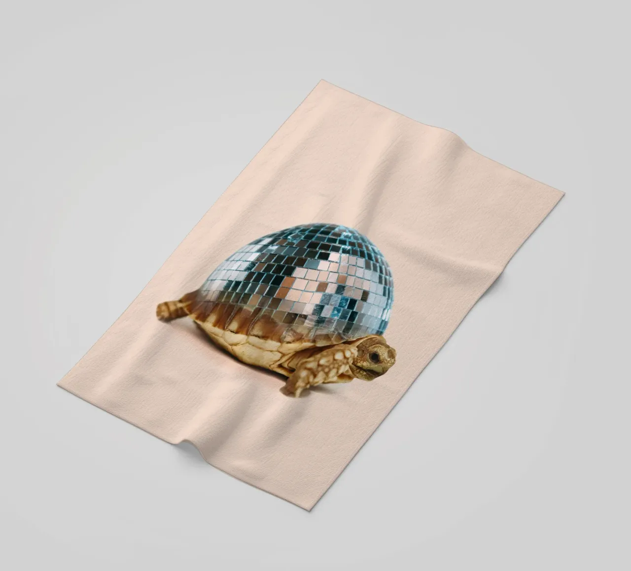 DISCO TURTLE telo mare da Dagmar Pels