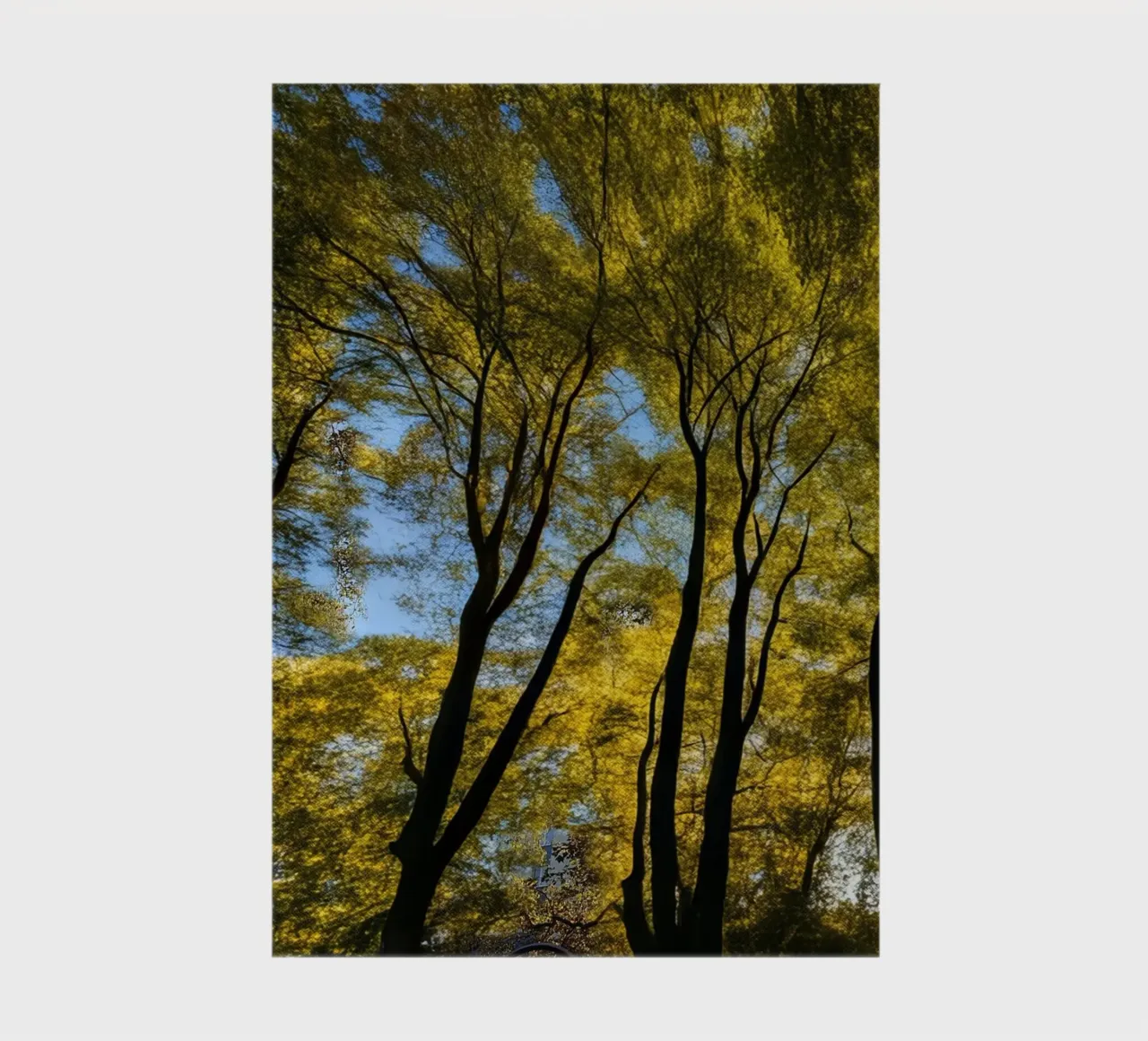 Forest_3 notebook by Impressionismus by LK