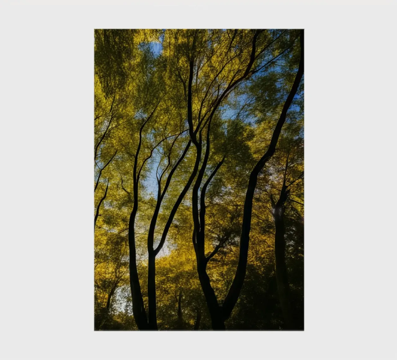 Forest_3 notebook by Impressionismus by LK