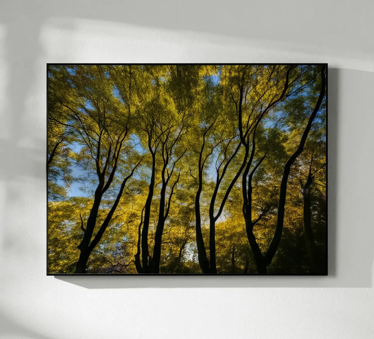 Forest_3 acrylic glass by Impressionismus by LK