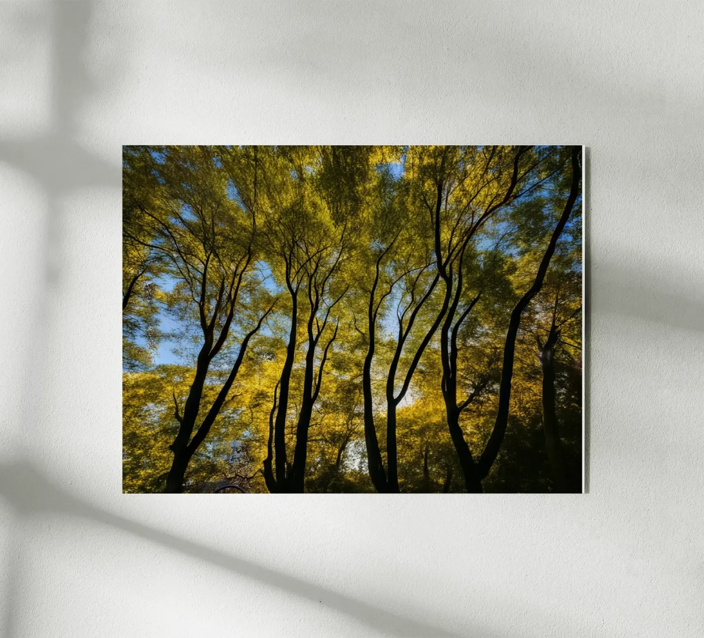 Forest_3 Acryl-Glas von Impressionismus by LK