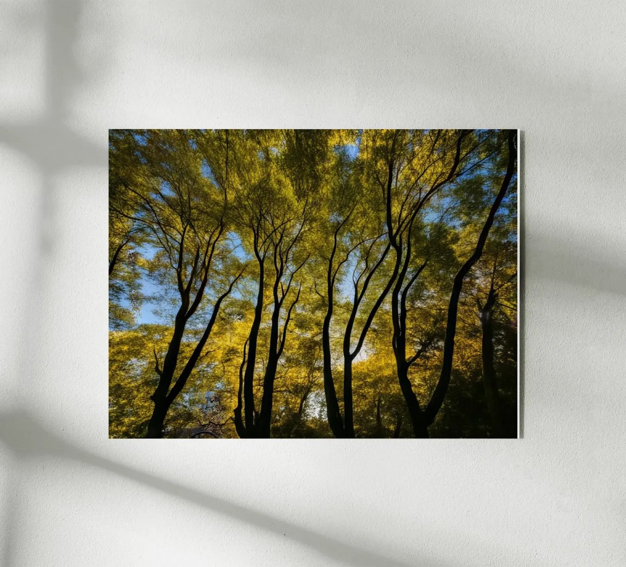 Forest_3 acrylic glass by Impressionismus by LK