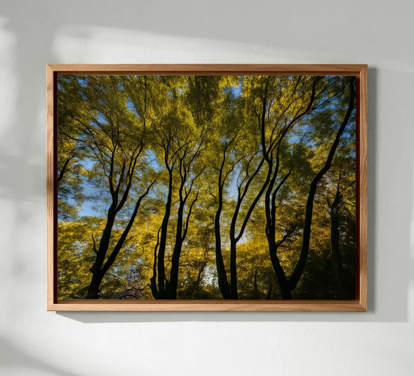 Foresta_3 alluminio dibond da Impressionismus by LK