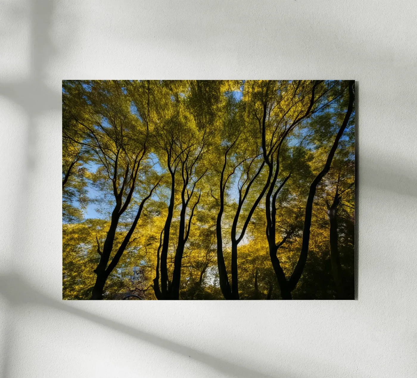 Foresta_3 alluminio dibond da Impressionismus by LK