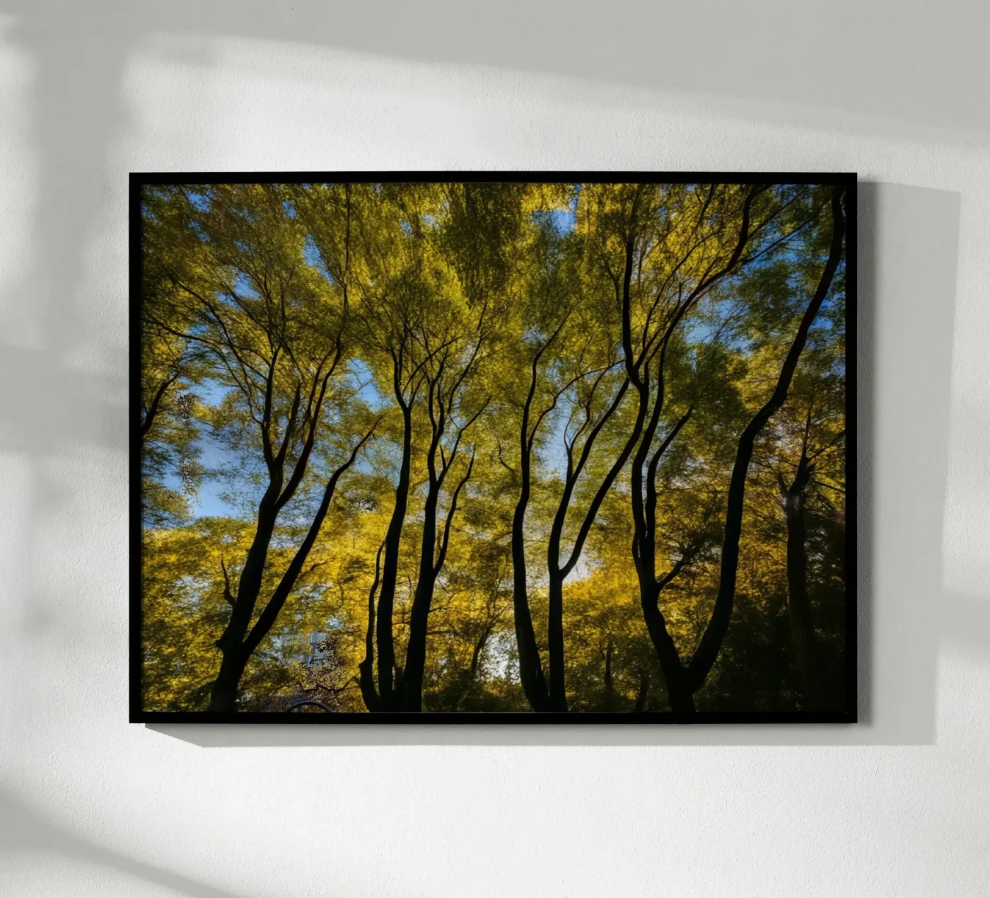 Forest_3 poster by Impressionismus by LK