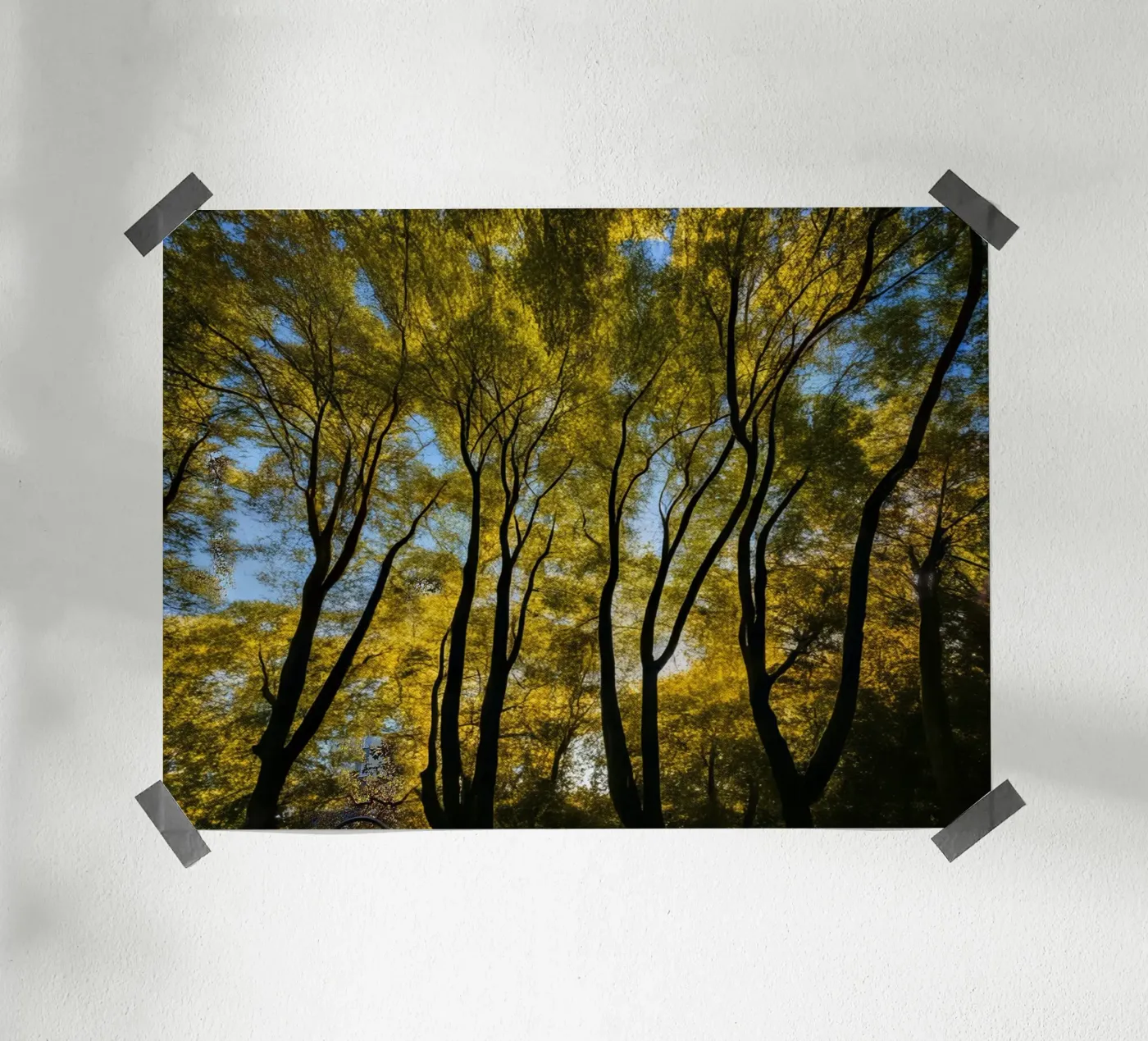 Forest_3 poster by Impressionismus by LK