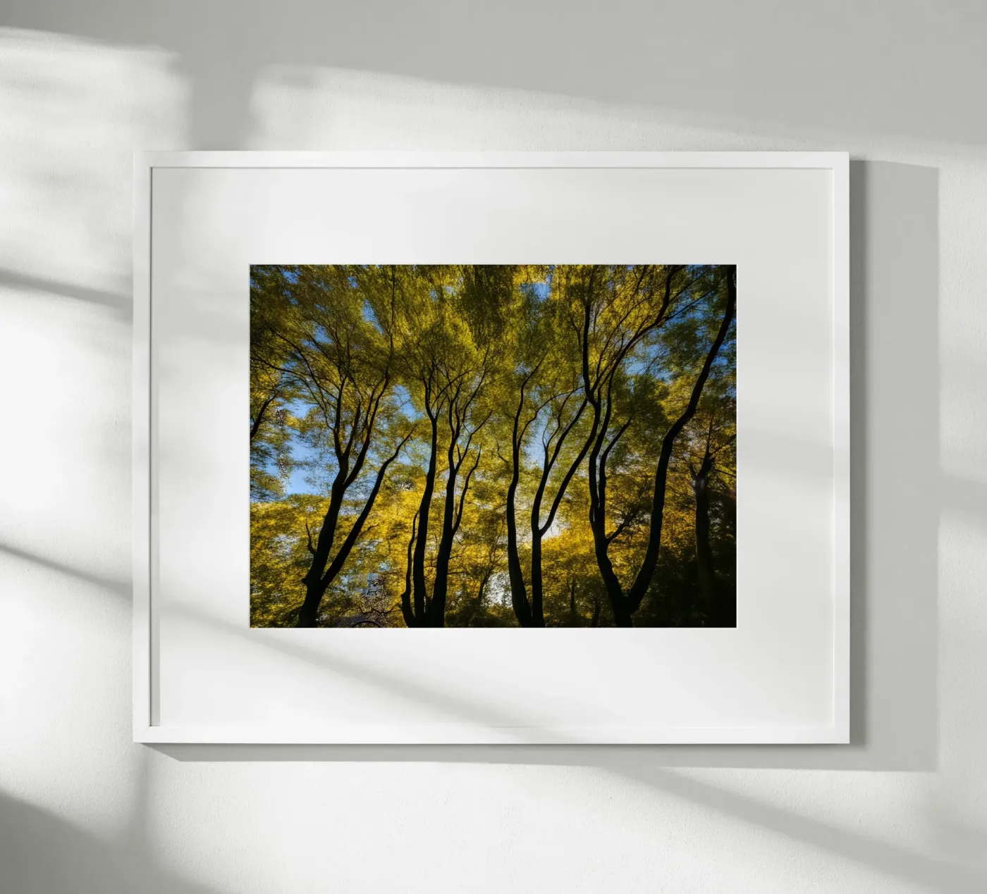 Forest_3 poster by Impressionismus by LK