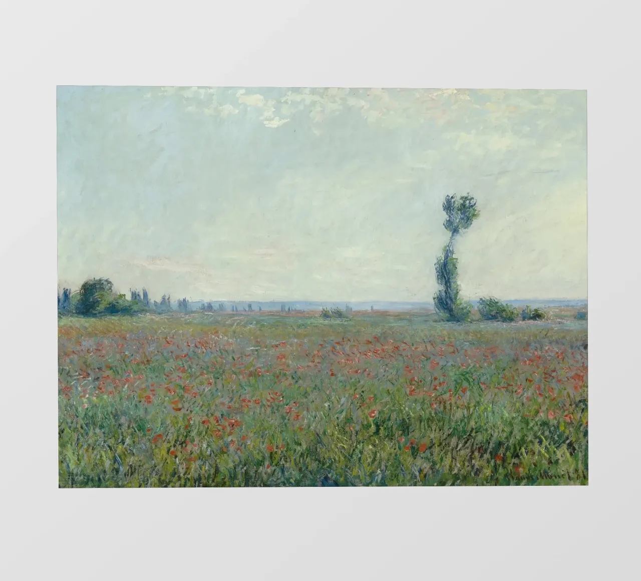 Claude Monet - Campo di papaveri pellicola backlit da Timeless Artworks