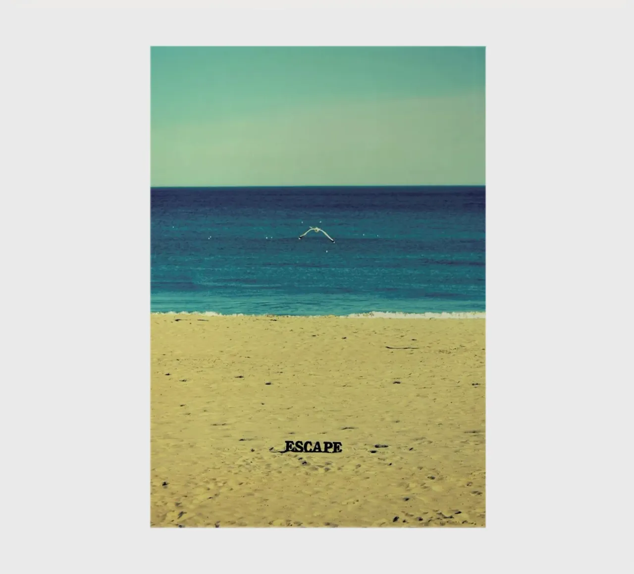 Escape notebook by Robin Delean