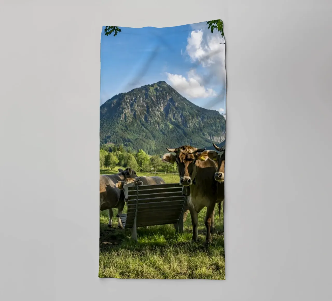 Kühe im Allgäu asciugamano da bagno da Reisefotografie - Bilder aus aller Welt