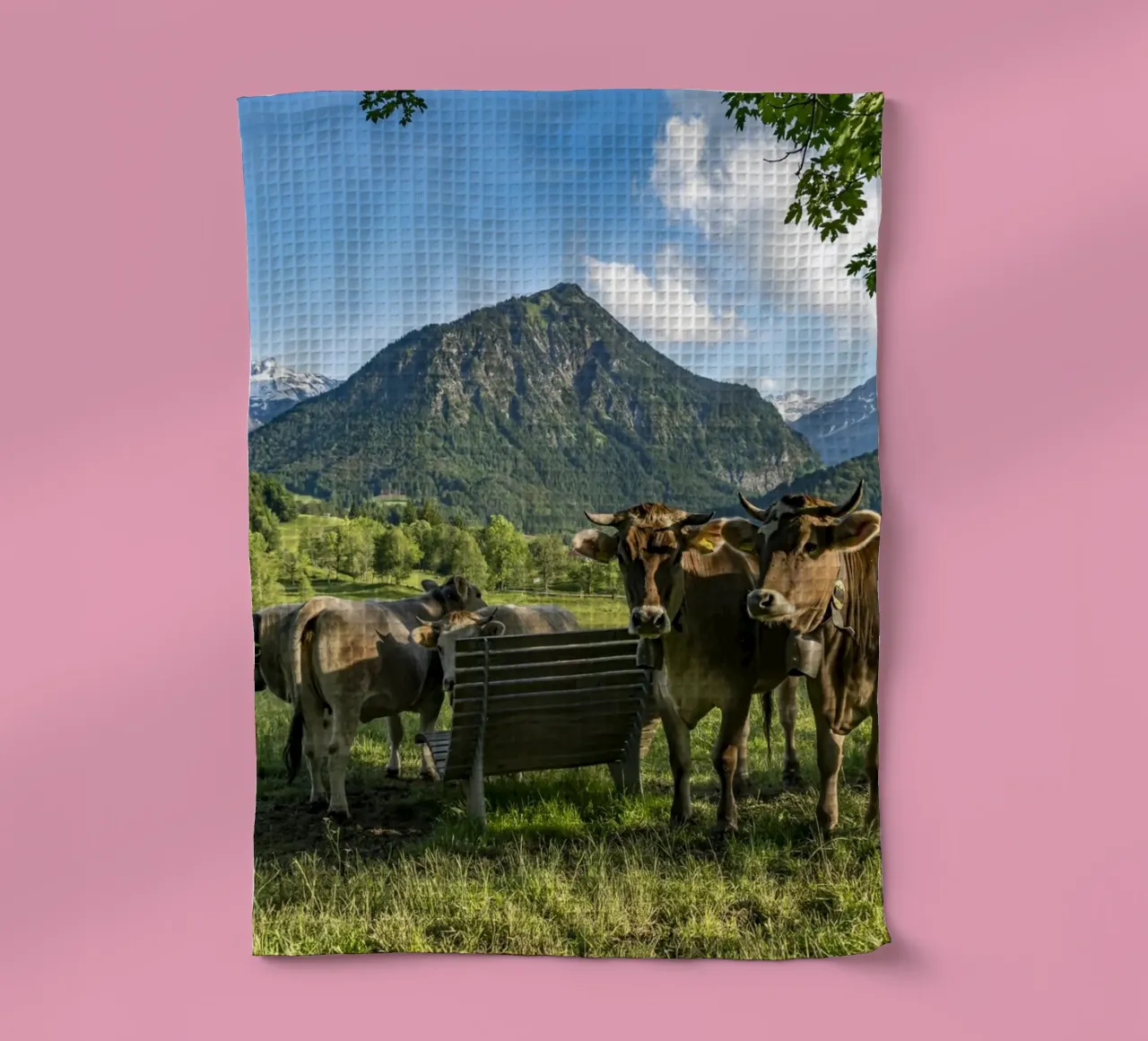 Kühe im Allgäu Geschirrtuch von Reisefotografie - Bilder aus aller Welt