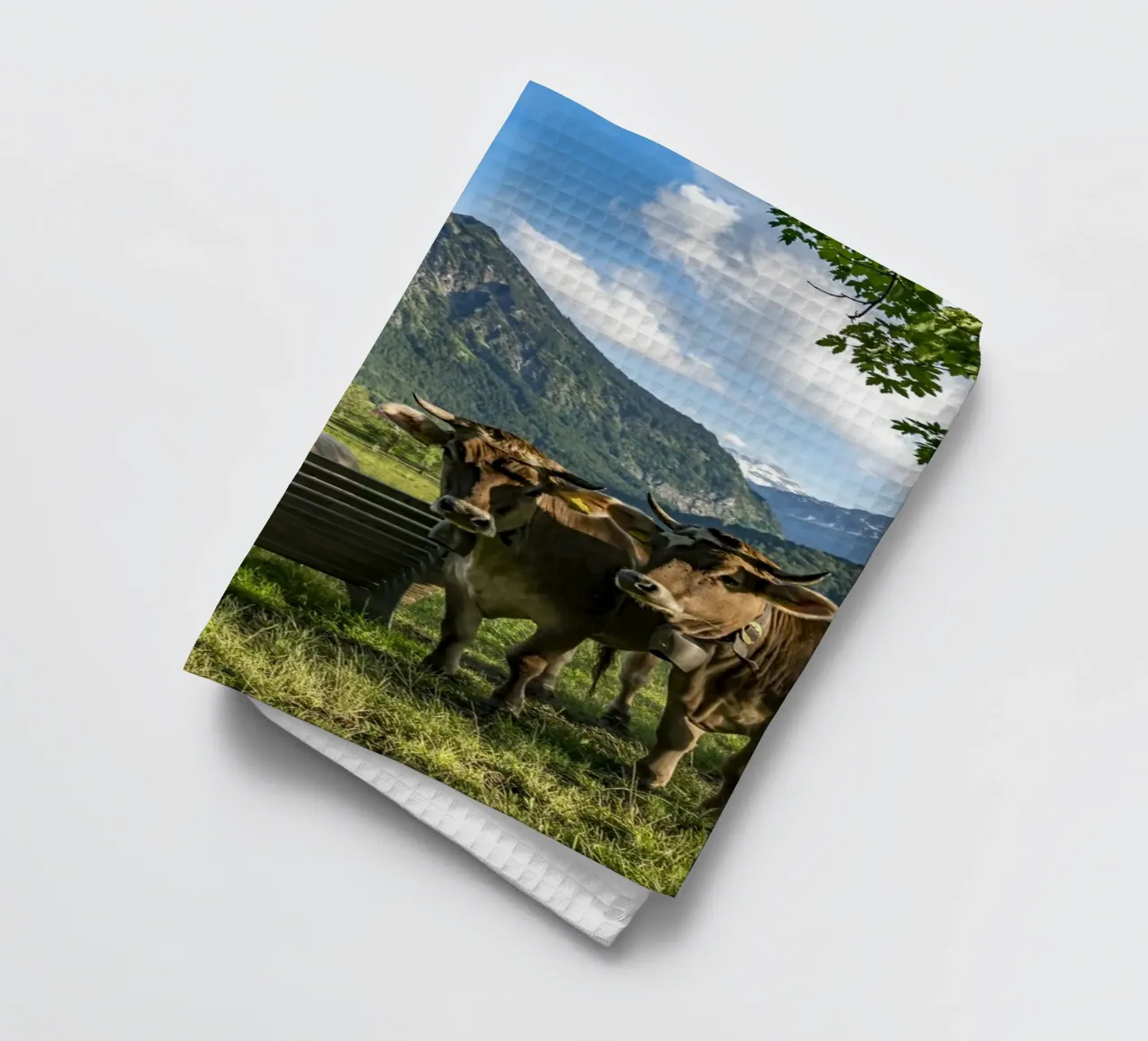 Kühe im Allgäu Geschirrtuch von Reisefotografie - Bilder aus aller Welt