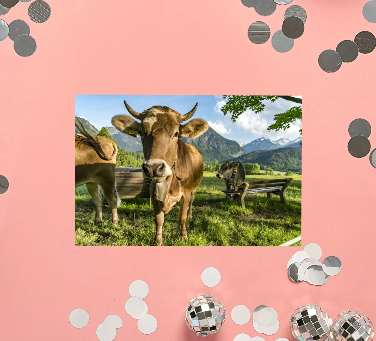 Kühe im Allgäu sticker by Reisefotografie - Bilder aus aller Welt