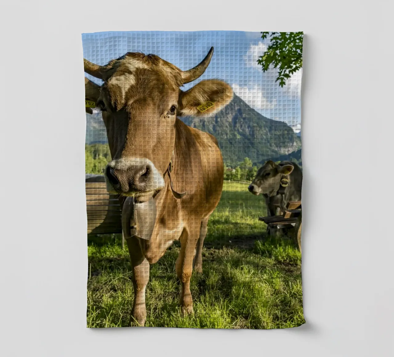 Kühe im Allgäu canovaccio da cucina da Reisefotografie - Bilder aus aller Welt