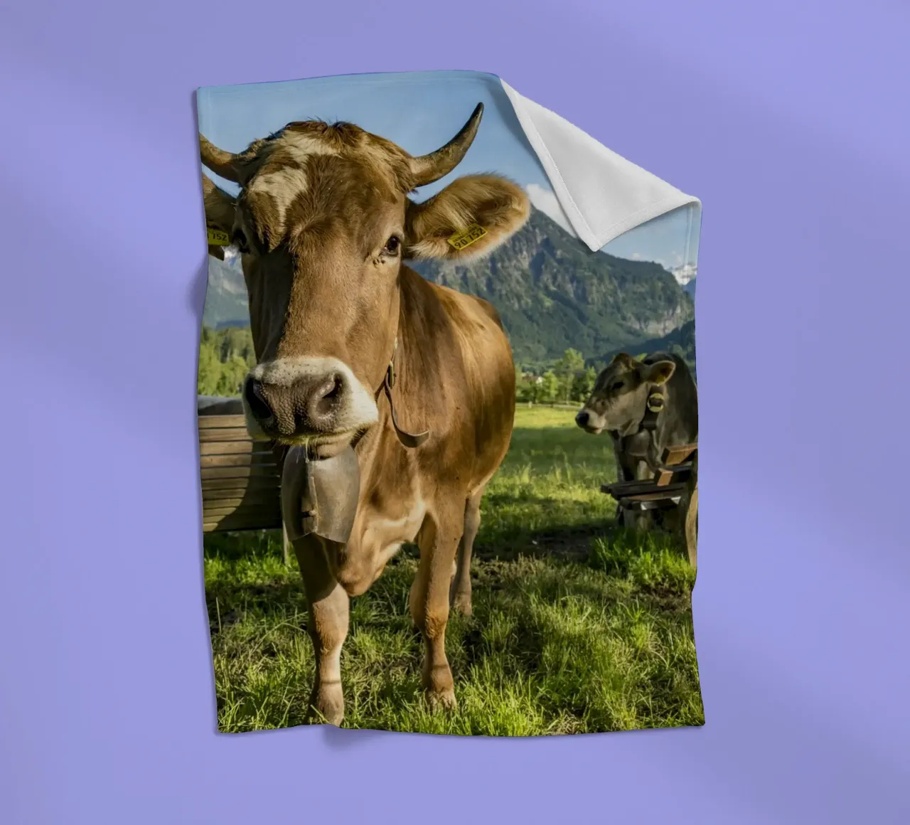 Kühe im Allgäu coperta in pile da Reisefotografie - Bilder aus aller Welt