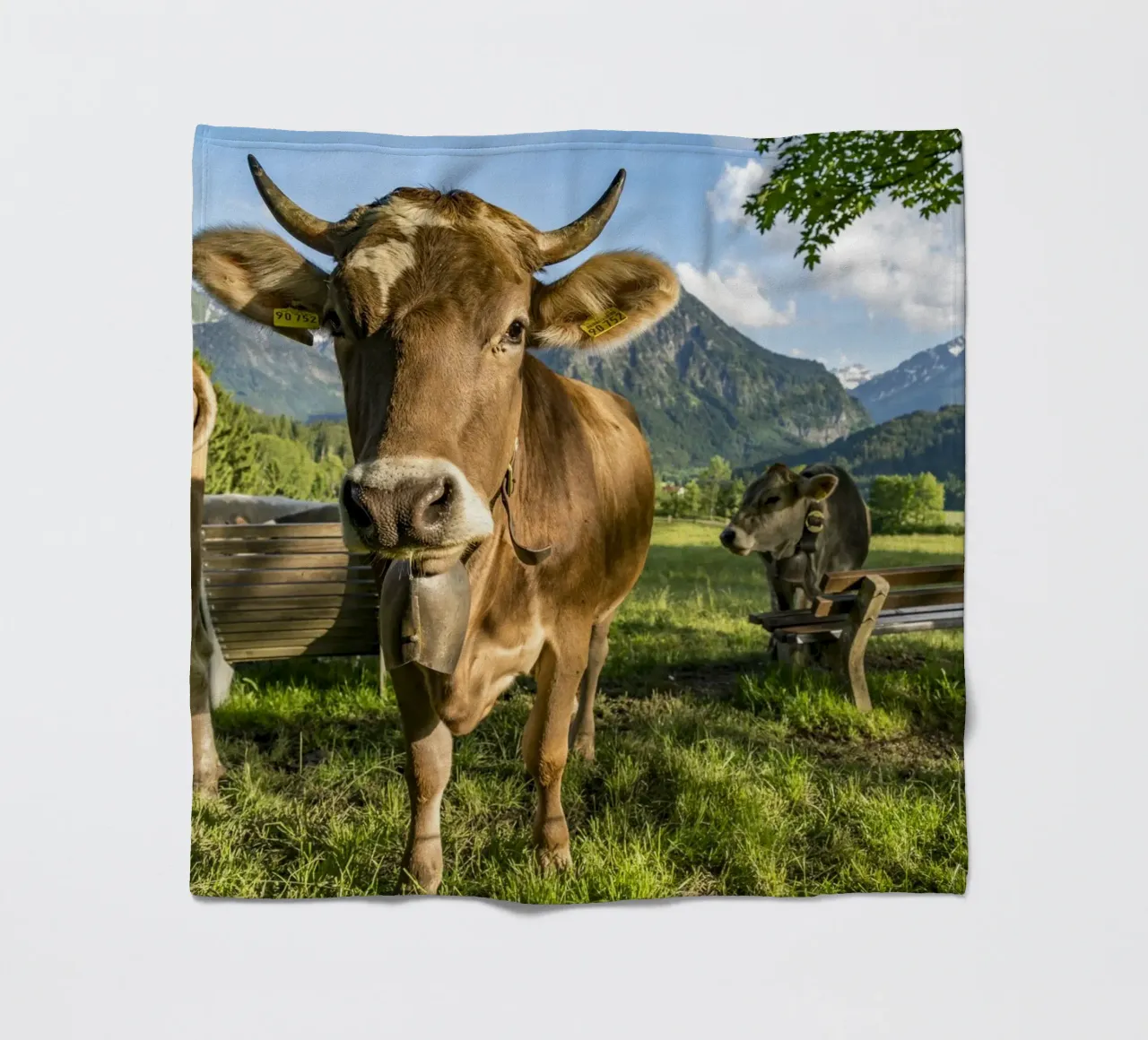 Kühe im Allgäu coperta in pile da Reisefotografie - Bilder aus aller Welt