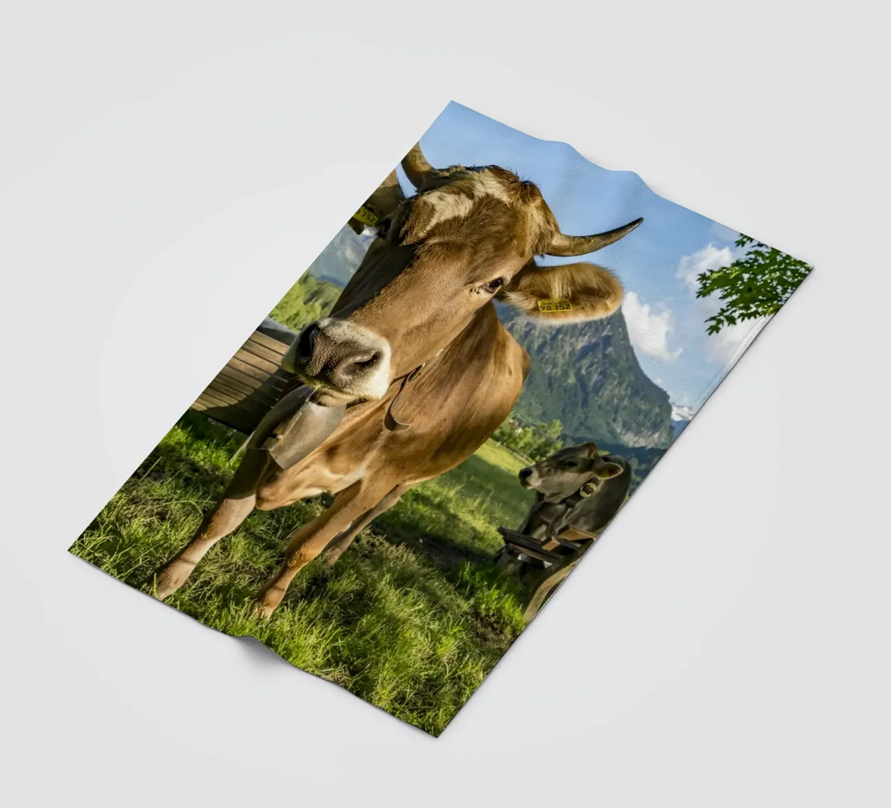 Kühe im Allgäu coperta in pile da Reisefotografie - Bilder aus aller Welt