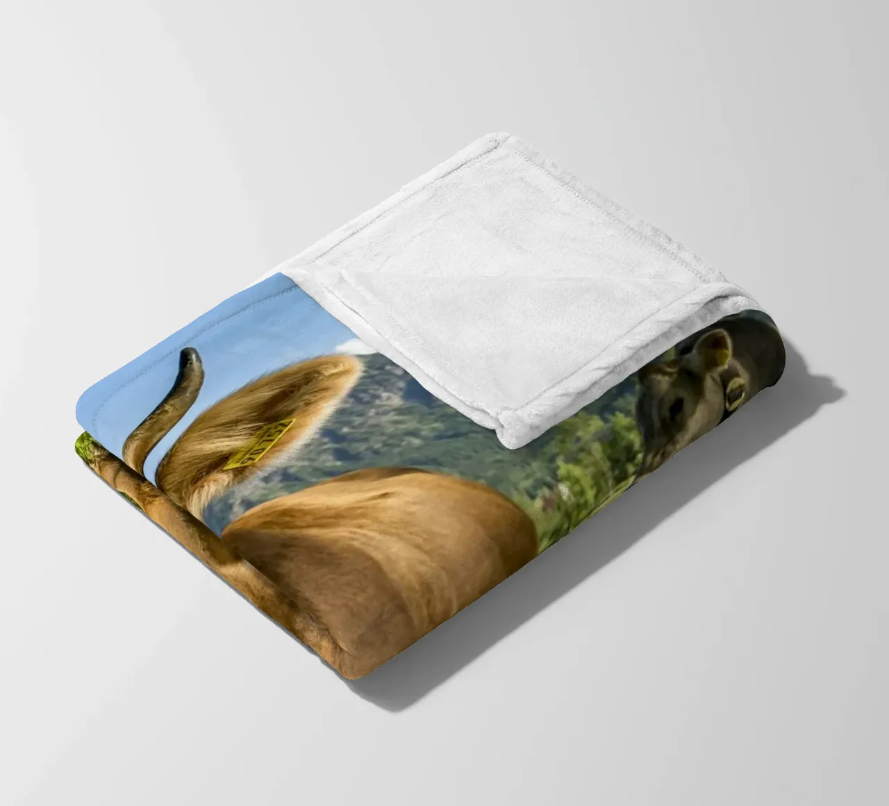 Kühe im Allgäu coperta in pile da Reisefotografie - Bilder aus aller Welt