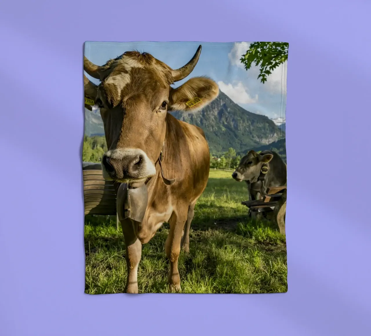 Kühe im Allgäu coperta in pile da Reisefotografie - Bilder aus aller Welt