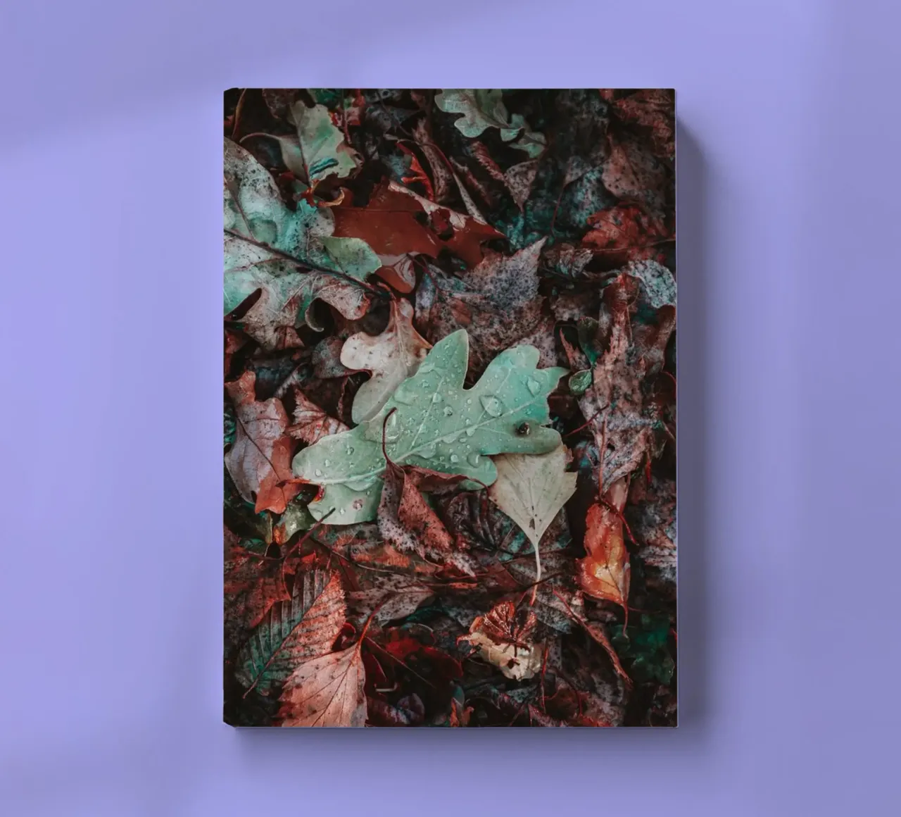 Various leaves on the forest floor notebook by Marcus Beckert | Fotografie